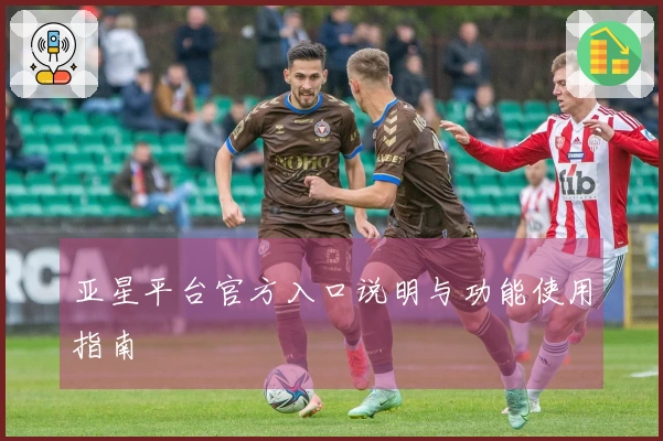 亚星平台官方入口说明与功能使用指南